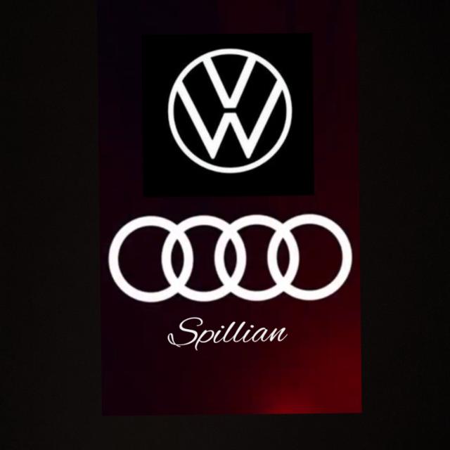 Spillian Tyre logo - professional tyre services in South Africa